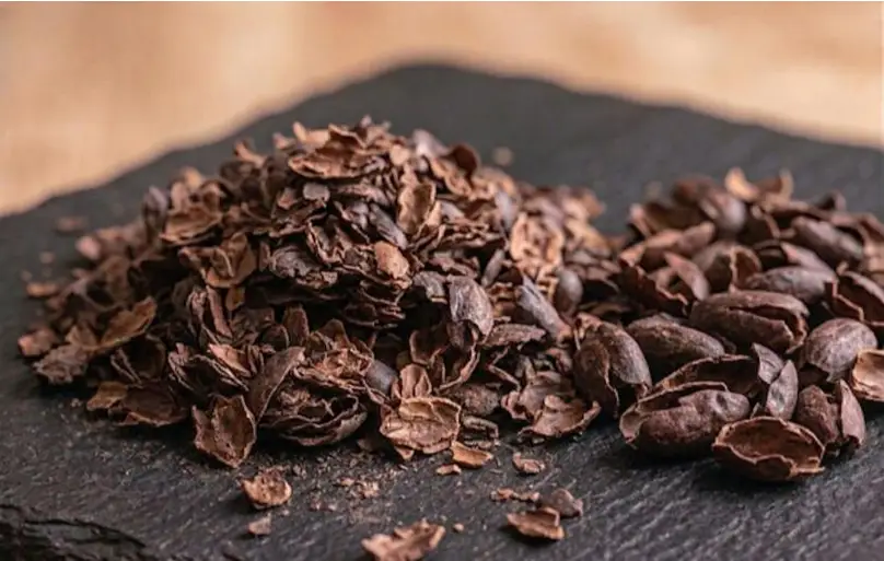 CÁSCARA DE GRANO DE CACAO TOSTADO